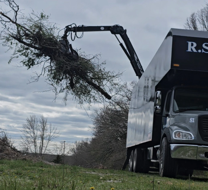 tree collection