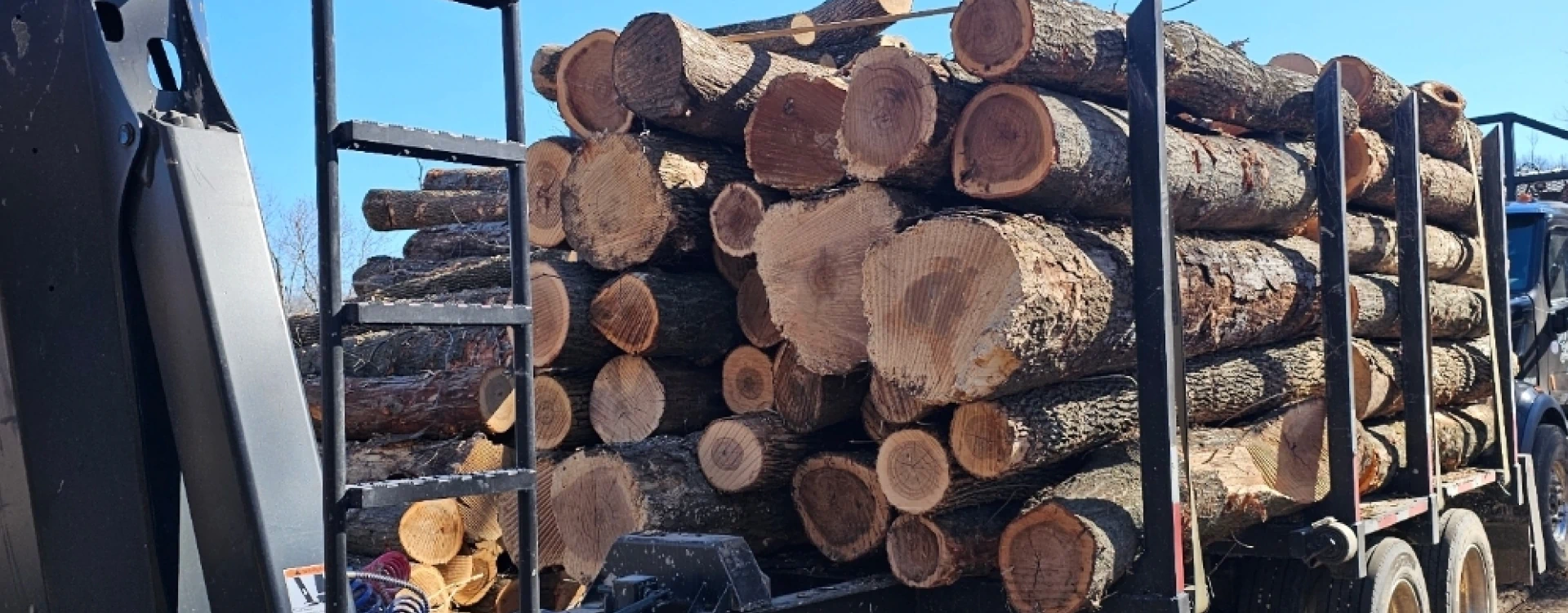 tree logs on a truck